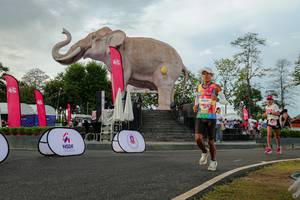 BIB: 
                            <button type="button" onclick="openModal(26528503)" class="btn btn-primary btn-sm float-right btn-popup" data-toggle="modal" data-target=".modal-high-quality">
                        <i class="fas fa-shopping-cart"></i> Add to Cart
                    </button>
                                            <button type="button" onclick="isThisMe(26528503, true)" class="btn btn-success btn-sm float-right btn-popup btn-isme hidden" data-toggle="tooltip" data-placement="bottom" title="นี่คือรูปของคุณใช่ไหม คลิกที่นี่เพื่อเอาเข้าอัลบั้ม">
                        <i class="fas fa-plus"></i> Add to album
                    </button>
                    <button type="button" onclick="isThisMe(26528503, false)" class="btn btn-warning btn-sm float-right btn-popup btn-isnotme hidden">
                        <i class="fas fa-ban"></i> Remove from album
                    </button>